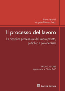Processo del lavoro. La disciplina process...