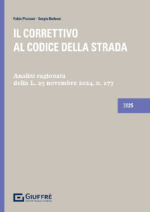 Correttivo al Codice della Strada (Il)
