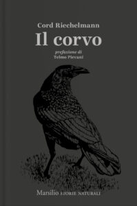 Corvo (Il)