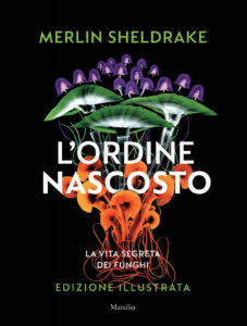 Ordine nascosto. Ediz. a colori (L')