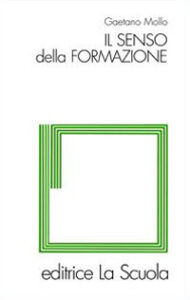 Senso della formazione (Il)