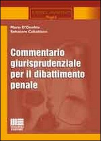 Commentario giurisprudenziale per il dibat...
