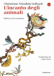 Incanto degli animali. Bellezza ed evoluzione (L')