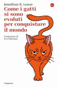 Come i gatti si sono evoluti per conquista...