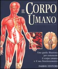 Corpo umano (Il)