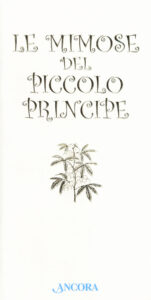 Le mimose del Piccolo Principe