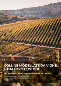 Colline modellate da vigne e dai loro cust...