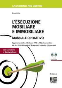 Esecuzione mobiliare e immobiliare. Manual...