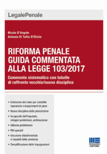 Riforma penale. Guida commentata alla Legg...